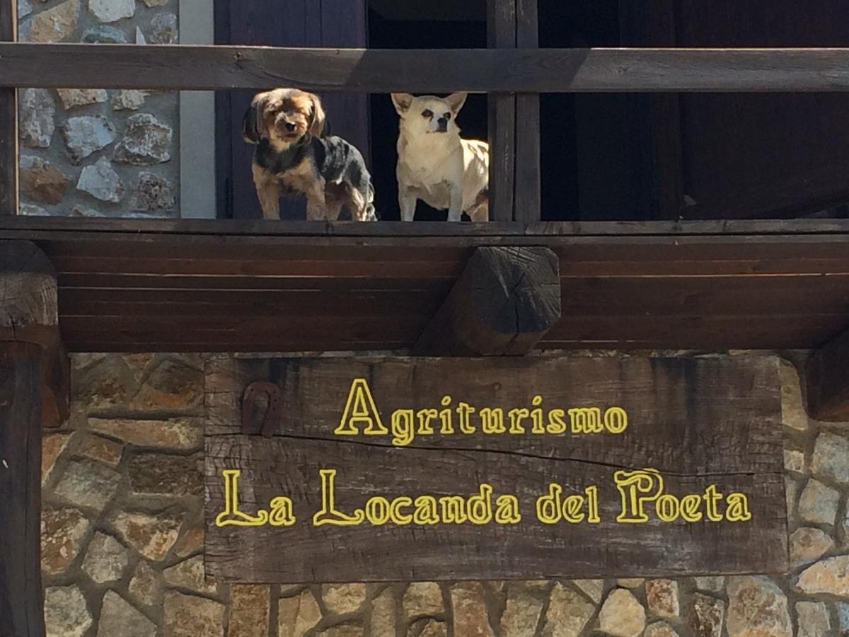 La Locanda Del Poeta Acri Bagian luar foto
